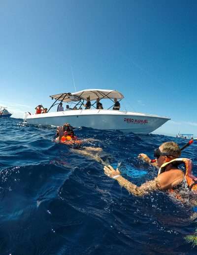 snorkelig in playa reef snorkeling whale shark Whale Shark encounter