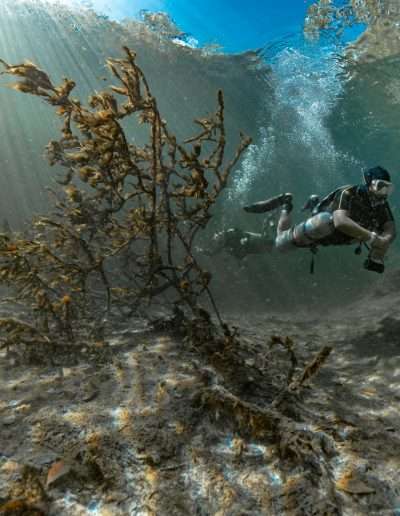 Diver at Casa Cenote