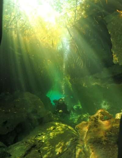 Diver at Casa Cenote
