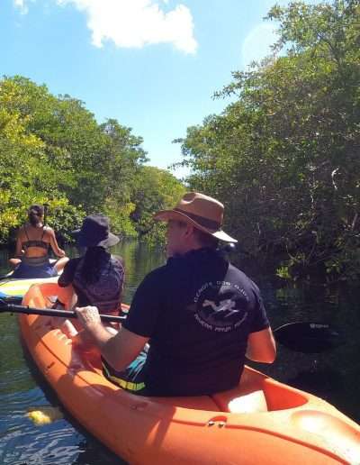 paddle snorkeling cenote in the mangrove