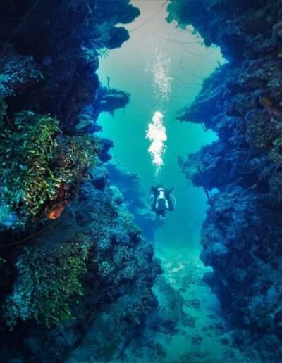deep dive mexico cozumel reef advance open water diver course